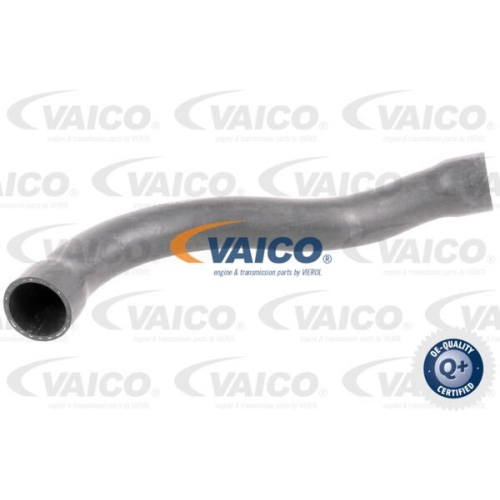K&uuml;hlerschlauch VAICO V20-1750 Q+, Erstausr&uuml;sterqualit&auml;t f&uuml;r BMW