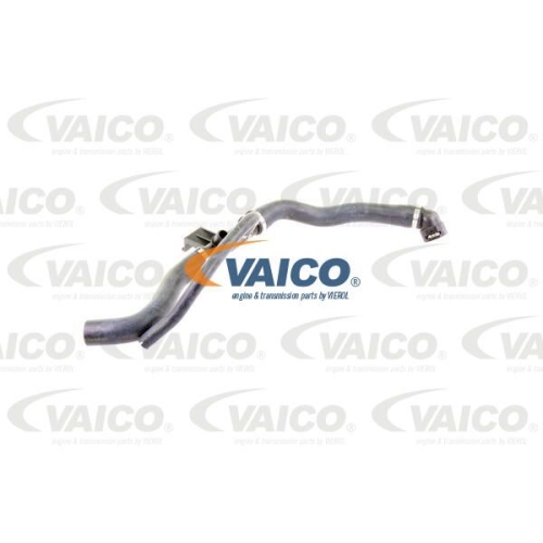 K&uuml;hlerschlauch VAICO V22-0369 Original VAICO Qualit&auml;t f&uuml;r CITRO&Euml;N PEUGEOT, unten