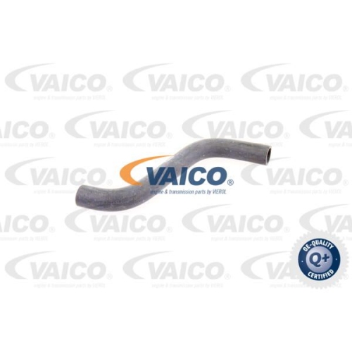 K&uuml;hlerschlauch VAICO V30-1617 Q+, Erstausr&uuml;sterqualit&auml;t f&uuml;r MERCEDES-BENZ, oben