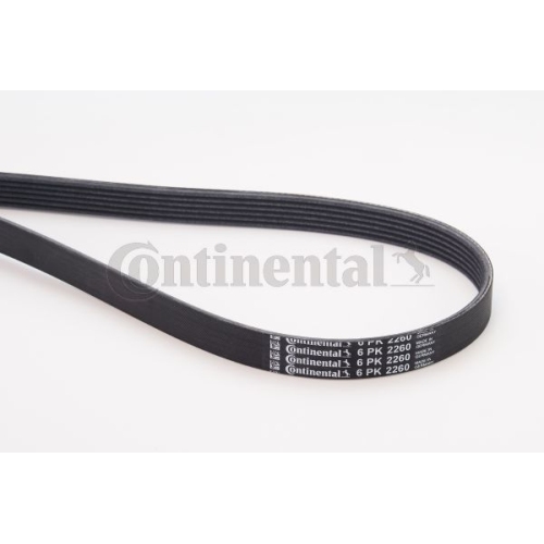 Keilrippenriemen CONTINENTAL CTAM 6PK2260 f&uuml;r AUDI MAZDA MERCEDES-BENZ OPEL VW