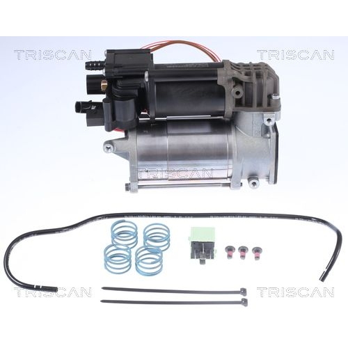 Kompressor, Druckluftanlage TRISCAN 8725 11101 f&uuml;r BMW
