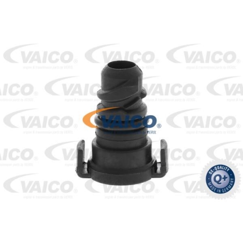 Verschlussschraube, &Ouml;lwanne VAICO V25-1293 EXPERT KITS + f&uuml;r FORD, motorseitig