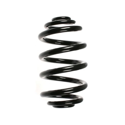Fahrwerksfeder SPIDAN 56963 f&uuml;r BMW, Hinterachse
