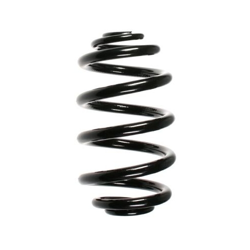 Fahrwerksfeder SPIDAN 56964 f&uuml;r BMW, Hinterachse