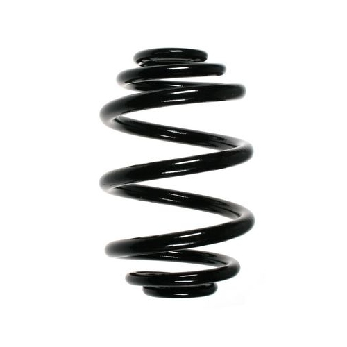 Fahrwerksfeder SPIDAN 56972 f&uuml;r BMW, Hinterachse
