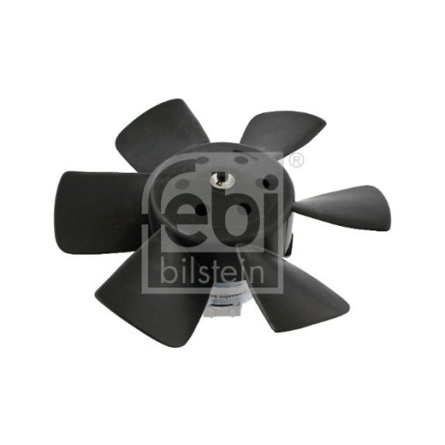 Febi Bilstein 06989 K&uuml;hlerl&uuml;fter , 1 St&uuml;ck