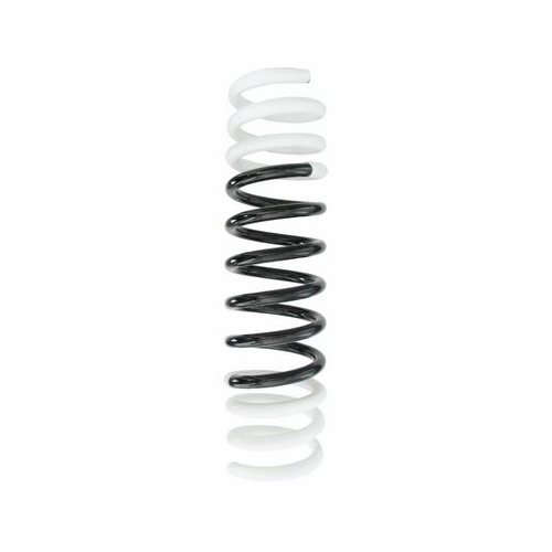 Fahrwerksfeder SPIDAN 85053 f&uuml;r FORD, Hinterachse