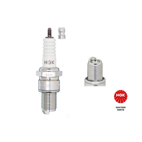 4x B9EG NGK Z&uuml;ndkerze Order-Nr. 3530
