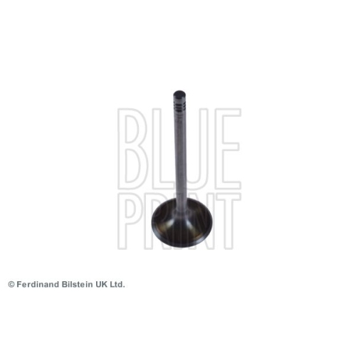 Blue Print 1x ADJ136110BP Einlassventil