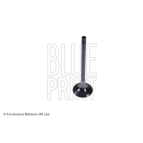 Blue Print 1x ADJ136111BP Auslassventil