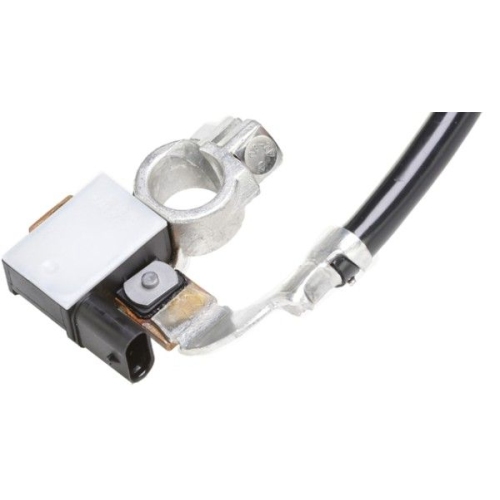 Sensor, Batteriemanagement HELLA 6PK 010 562-911 f&uuml;r BMW