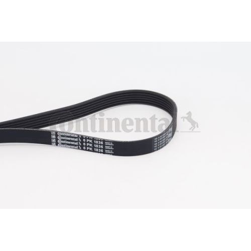 Keilrippenriemen CONTINENTAL CTAM 6PK1836 f&uuml;r ALFA ROMEO BMW FIAT LANCIA OPEL VW