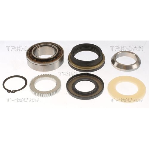 Radlagersatz TRISCAN 8530 14263 f&uuml;r NISSAN, Hinterachse