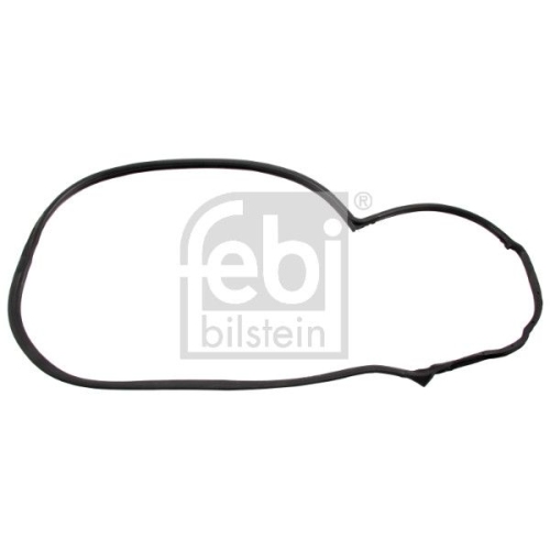 Febi Bilstein 01961 T&uuml;rdichtung , 1 St&uuml;ck