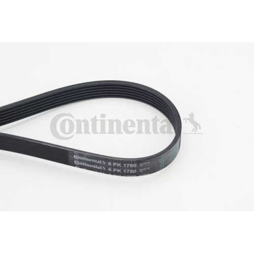 Keilrippenriemen CONTINENTAL CTAM 6PK1780 f&uuml;r ALFA ROMEO BMW FIAT RENAULT TOYOTA