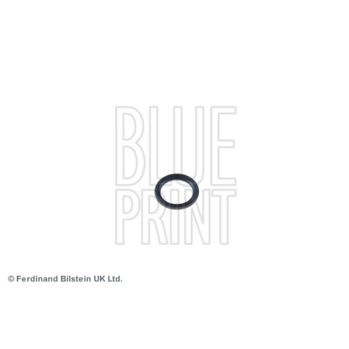 Blue Print 1x ADA100106BP Dichtring