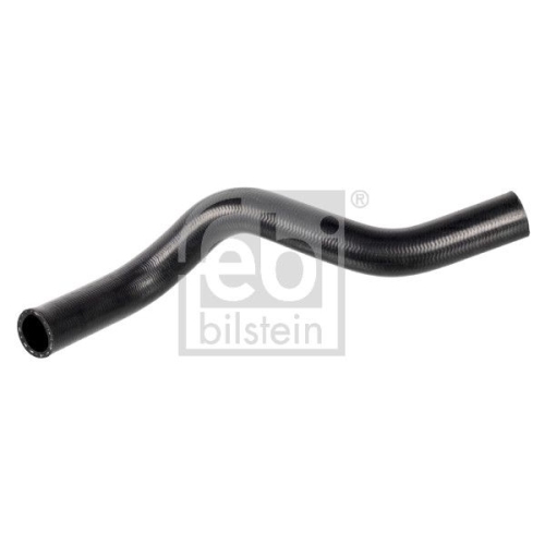 K&uuml;hlerschlauch FEBI BILSTEIN 174402 f&uuml;r HONDA, unten