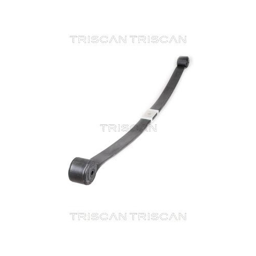 Federnpaket TRISCAN 8765 16040 f&uuml;r FORD, Hinterachse