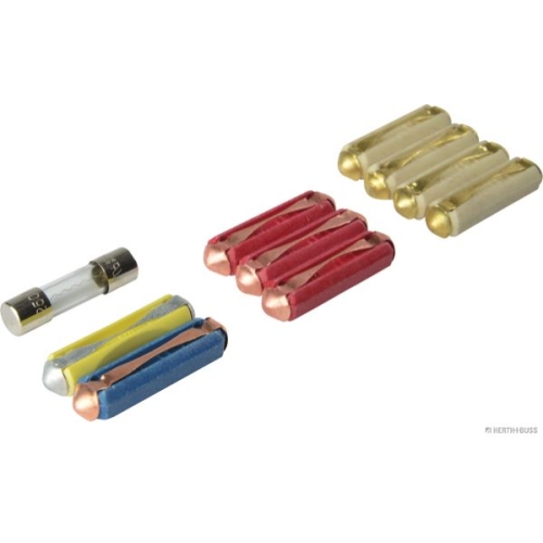 Sicherungssatz HERTH+BUSS ELPARTS 50296110066