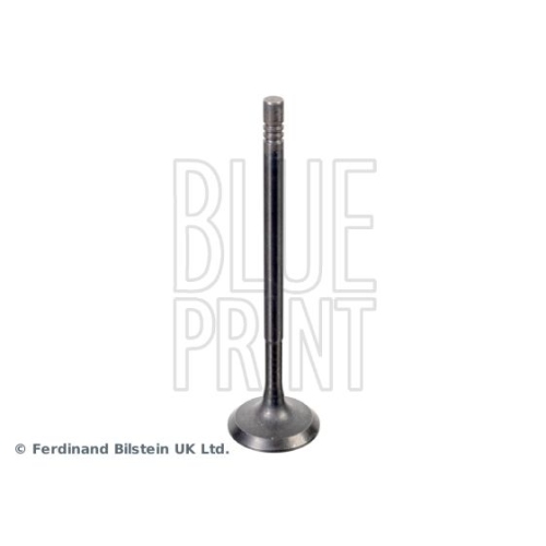 Blue Print 1x ADBP610041BP Einlassventil