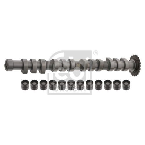 Febi Bilstein 33198 Nockenwellensatz , 1 St&uuml;ck