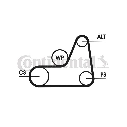 Keilrippenriemen CONTINENTAL CTAM 6PK1042 ELAST f&uuml;r FORD