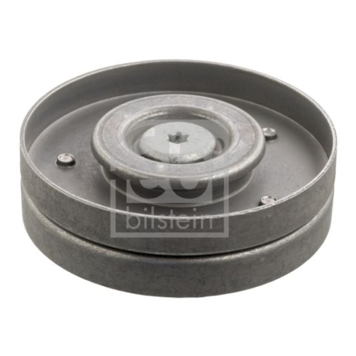 Febi Bilstein 38979 Umlenkrolle f&uuml;r Keilrippenriemen, mit Schraube , 1 St&uuml;ck