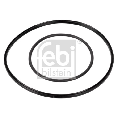 Febi Bilstein 174463 Dichtungssatz f&uuml;r Vakuumpumpe, 1 St&uuml;ck