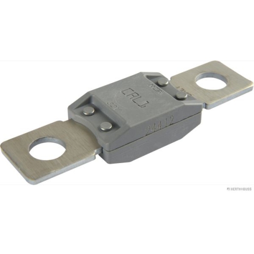 Sicherung HERTH+BUSS ELPARTS 50295841 f&uuml;r RENAULT