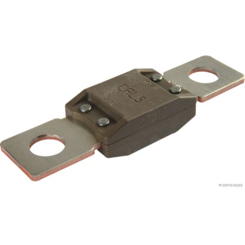 Sicherung HERTH+BUSS ELPARTS 50295845 f&uuml;r RENAULT CITRO&Euml;N/PEUGEOT