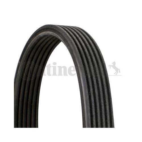 Keilrippenriemen CONTINENTAL CTAM 6DPK1188 f&uuml;r SEAT VW