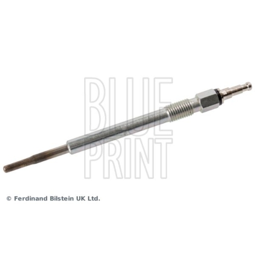 Blue Print 1x ADC41824BP Gl&Atilde;&frac14;hkerze
