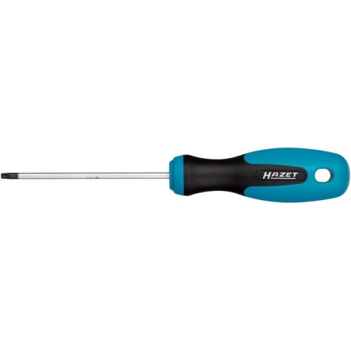 Schraubendreher HAZET 810-T10