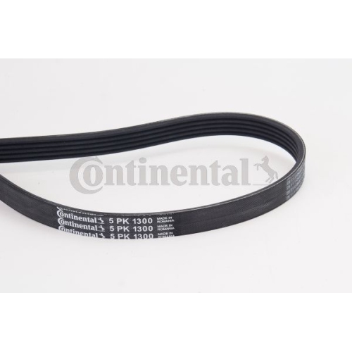 Keilrippenriemen CONTINENTAL CTAM 5PK1300 f&uuml;r AUDI MERCEDES-BENZ MITSUBISHI VW