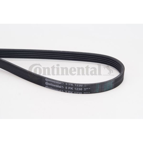 Keilrippenriemen CONTINENTAL CTAM 5PK1230 f&uuml;r BMW CITRO&Euml;N OPEL PEUGEOT VAUXHALL