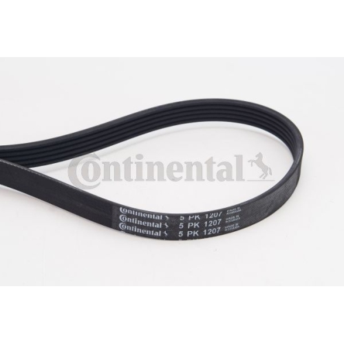 Keilrippenriemen CONTINENTAL CTAM 5PK1207 f&uuml;r MITSUBISHI OPEL ROVER LAND ROVER