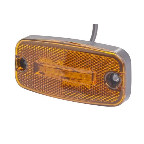 Seitenmarkierungsleuchte HELLA 2PS 345 600-001 f&uuml;r DAF GOLDHOFER