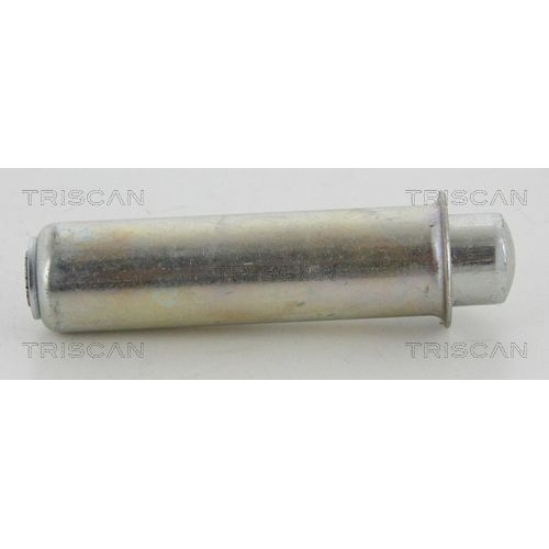 Schwingungsd&auml;mpfer, Zahnriemen TRISCAN 8641 103041 f&uuml;r FIAT OPEL PEUGEOT RENAULT