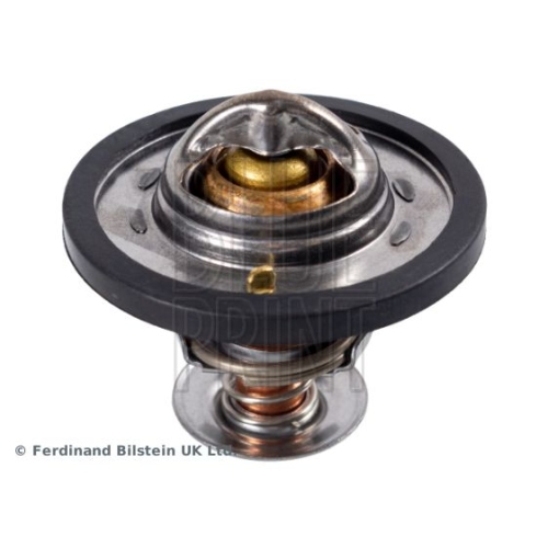Blue Print 1x ADJ139201BP Thermostat mit Dichtungen