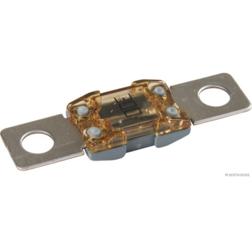 Sicherung HERTH+BUSS ELPARTS 50295874 f&uuml;r VAG