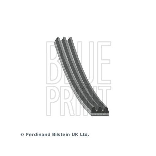 Blue Print 1x AD03R872BP Keilrippenriemen