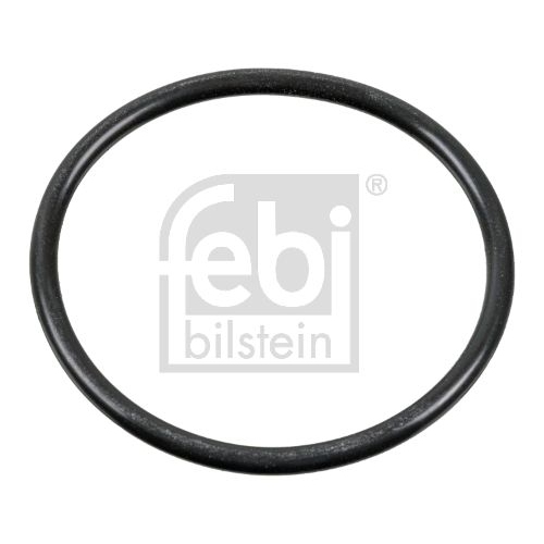 Febi Bilstein 1x 100165 Dichtring
