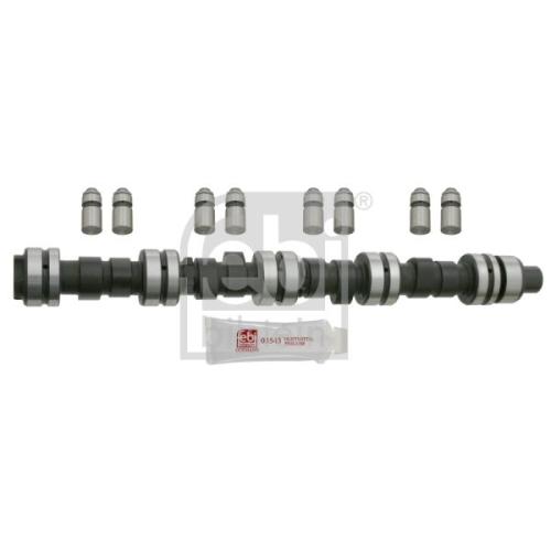 Febi Bilstein 23994 Nockenwellensatz , 1 St&uuml;ck