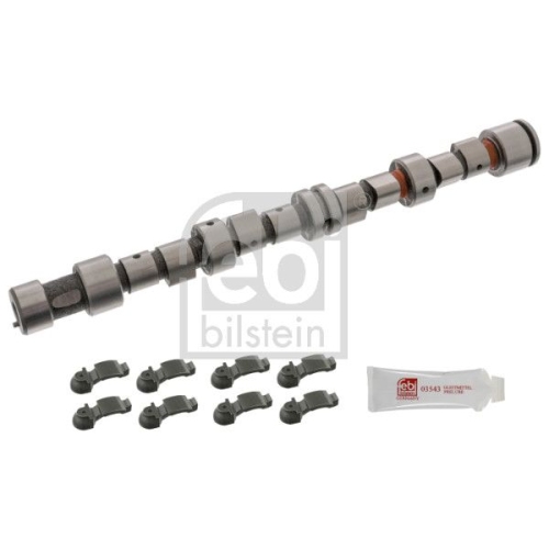 Febi Bilstein 12242 Nockenwellensatz , 1 St&uuml;ck