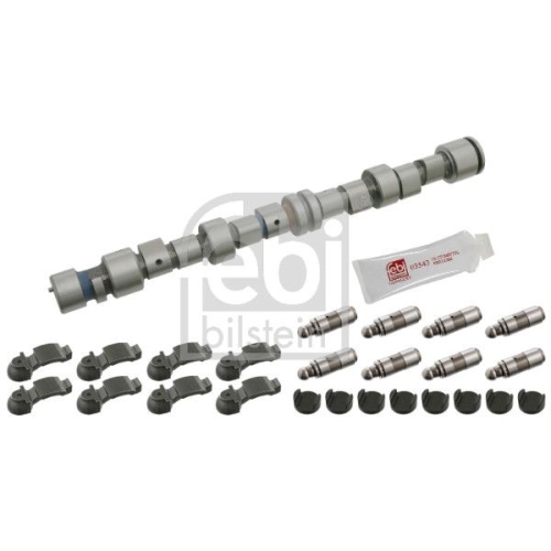 Febi Bilstein 24550 Nockenwellensatz , 1 St&uuml;ck