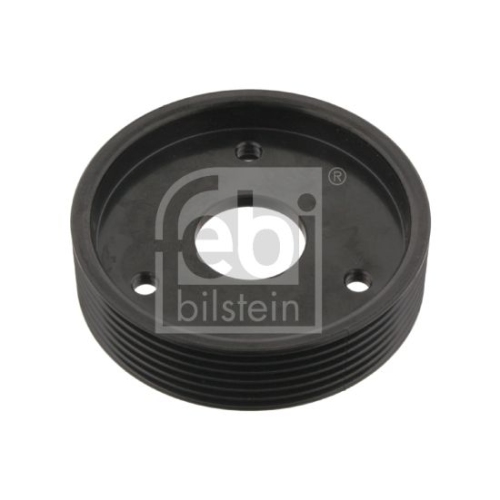 Febi Bilstein 29501 Riemenscheibe f&uuml;r Servopumpe , 1 St&uuml;ck