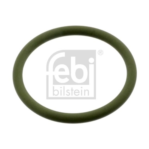 Dichtung, Wasserpumpe FEBI BILSTEIN 49087 f&uuml;r FIAT IVECO IRISBUS