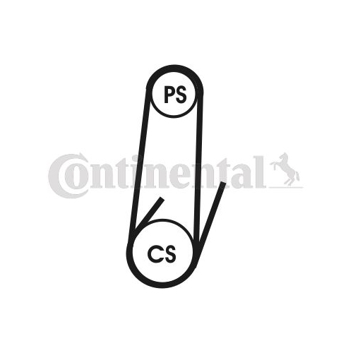 Keilrippenriemen CONTINENTAL CTAM 4PK1022 ELAST f&uuml;r FIAT