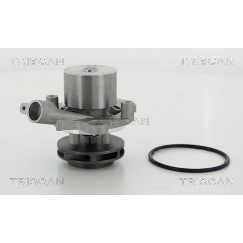 Wasserpumpe TRISCAN 8600 29065 f&uuml;r AUDI SEAT SKODA VW