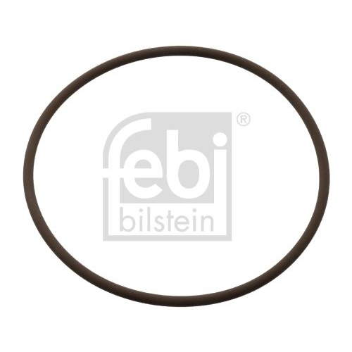 Febi Bilstein 104848 Dichtring f&uuml;r K&uuml;hlwasserrohr, am Zylinderkopf, 1 St&uuml;ck